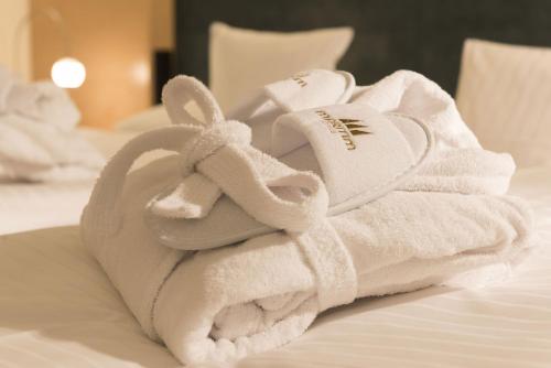 Imagen general del Maritim Hotel Amsterdam. Foto 1