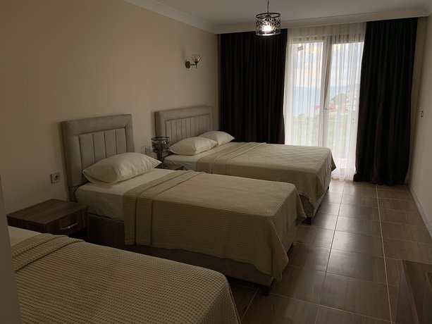 Imagen de la habitación del Marmara Zeytin Hotel. Foto 10