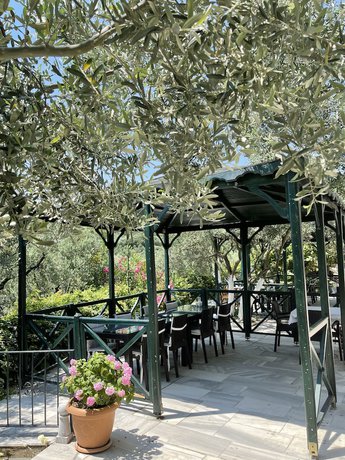 Imagen de la habitación del Marmara Zeytin Hotel. Foto 14