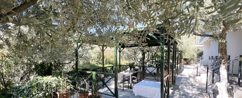 Imagen de la habitación del Marmara Zeytin Hotel. Foto 15