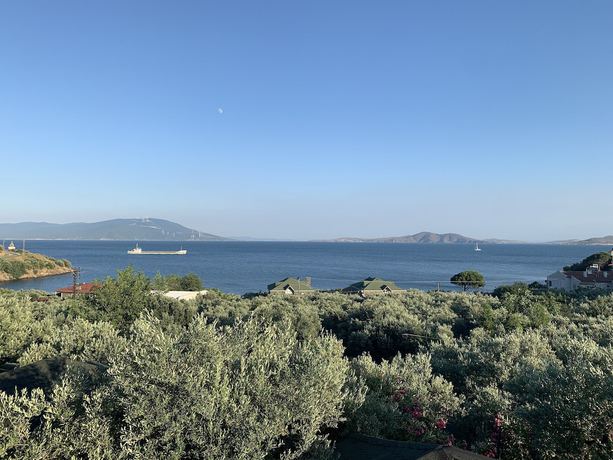 Imagen de la habitación del Marmara Zeytin Hotel. Foto 16