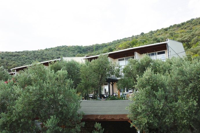 Imagen general del Marmara Zeytin Hotel. Foto 2