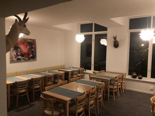 Imagen general del Marsk Hotellet. Foto 4