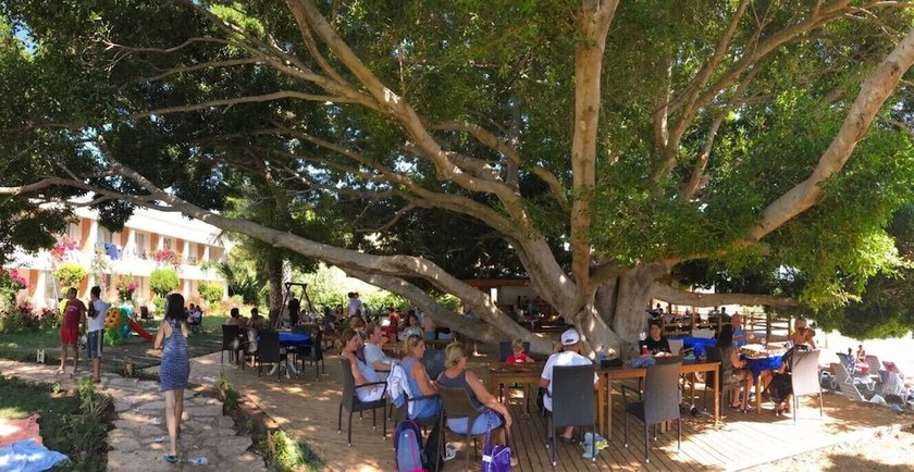 Imagen de la habitación del Marvel Tree Hotel. Foto 9