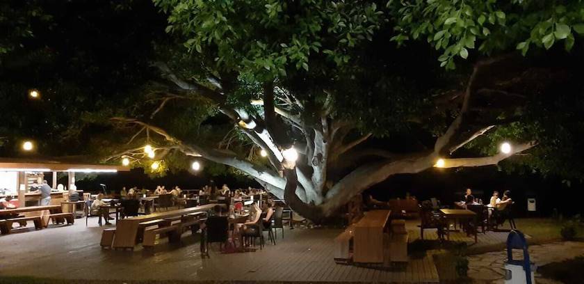 Imagen de la habitación del Marvel Tree Hotel. Foto 10