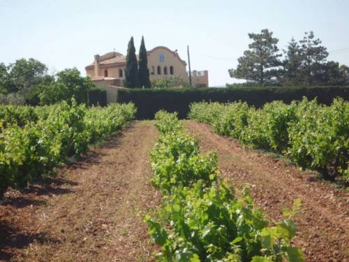 Imagen de los exteriores del Mas Carlons- Masia Rural. Foto 11