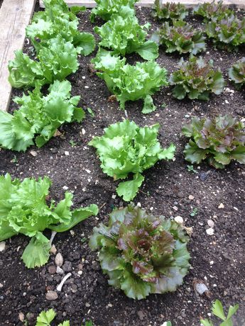 Imagen de la habitación del Mason La Zondra. Foto 6