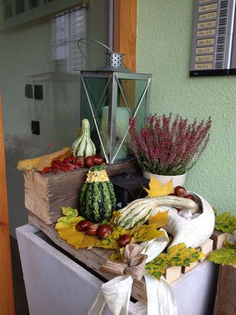 Imagen de los interiores del Mason La Zondra. Foto 14