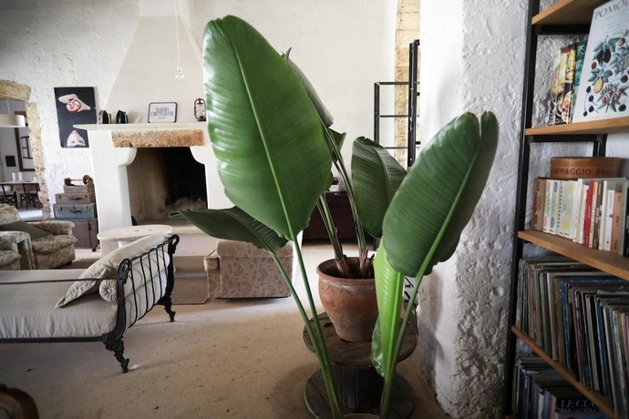Imagen de los interiores del Masseria Caretti Grande. Foto 16