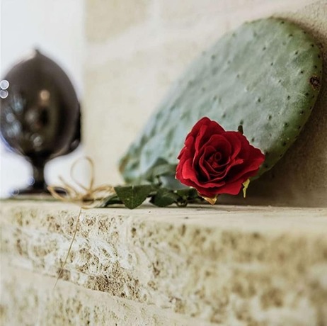 Imagen general del Masseria Fulcignano. Foto 10