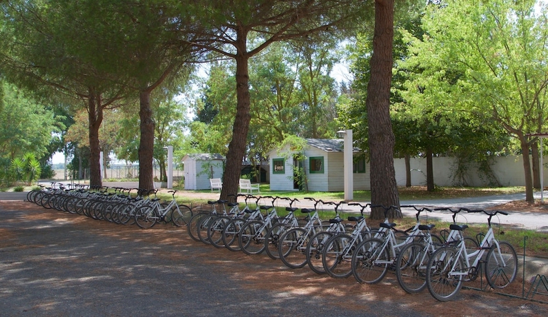 Imagen general del Masseria Macchia and Relais San Pio. Foto 4