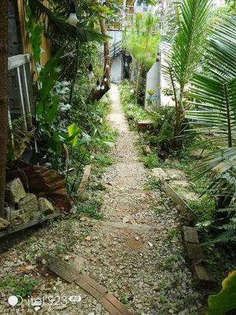 Imagen general del Meadow view DaLal INN. Foto 4