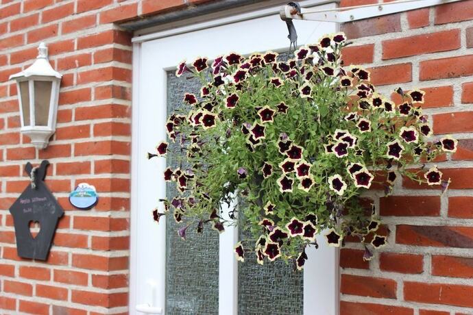Imagen de la habitación del Meislahnhof Fehmarn. Foto 17