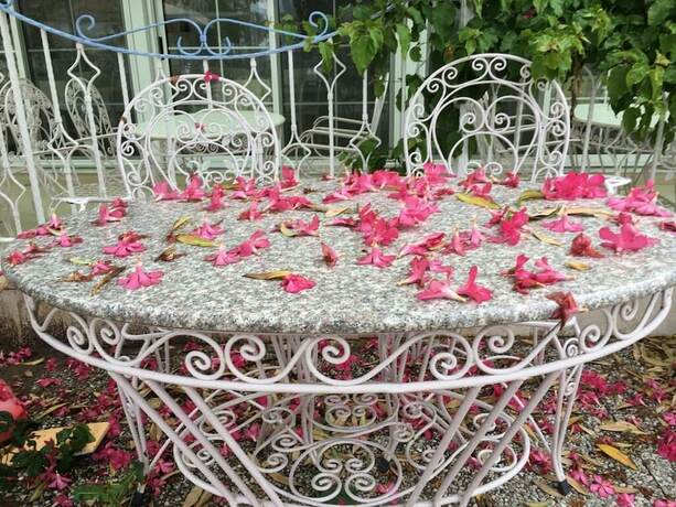 Imagen general del Melaike Otel. Foto 5