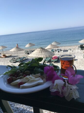 Imagen general del Melinda. Foto 3