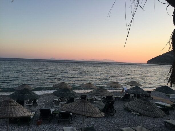 Imagen general del Melinda. Foto 4