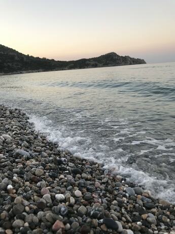 Imagen general del Melinda. Foto 11