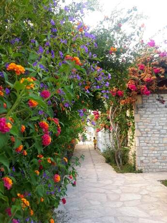 Imagen general del Melinda. Foto 12