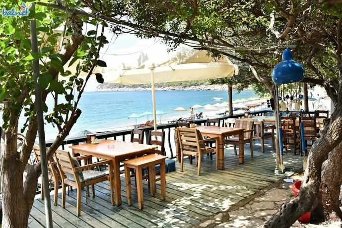 Imagen general del Melinda. Foto 15