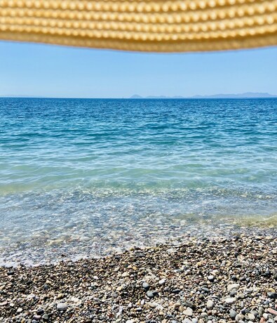 Imagen general del Melinda. Foto 18