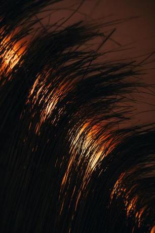 Imagen de la habitación del Mellow Ladies Hostel. Foto 19