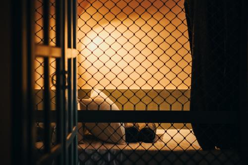 Imagen general del Mellow Ladies Hostel. Foto 12