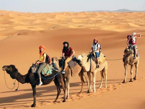 Imagen general del Merzouga Berber Camp. Foto 3