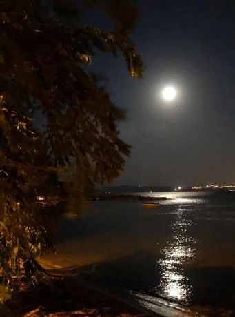 Imagen general del Mete Otel. Foto 12