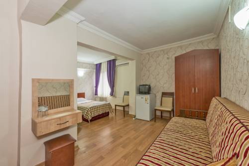 Imagen de la habitación del Metro Hotel. Foto 6