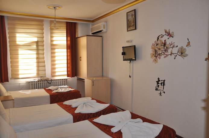 Imagen de la habitación del Mevlana Sems Hotel. Foto 3