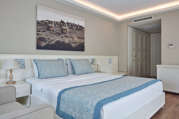 Imagen de la habitación del Meydani Butik Hotel. Foto 16