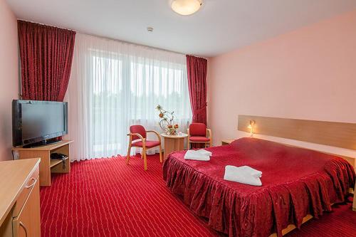 Imagen de la habitación del Millennium Health Resort & Spa. Foto 8