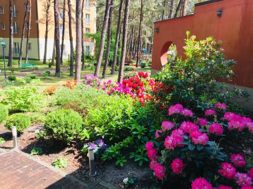 Imagen general del Millennium Health Resort & Spa. Foto 7