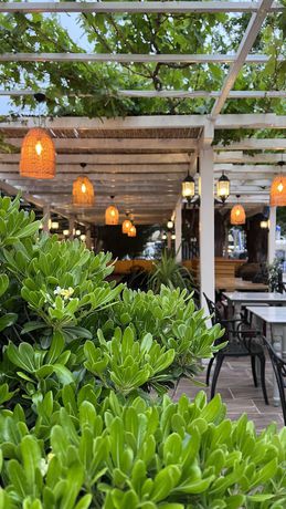 Imagen del bar/restaurante del Mimoza Hotel, FETHIYE. Foto 4