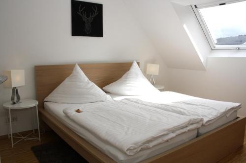 Imagen general del Mira Premium Residences - Hinterzarten. Foto 4