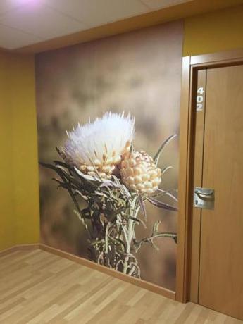 Imagen general del Mirador El Silo. Foto 12