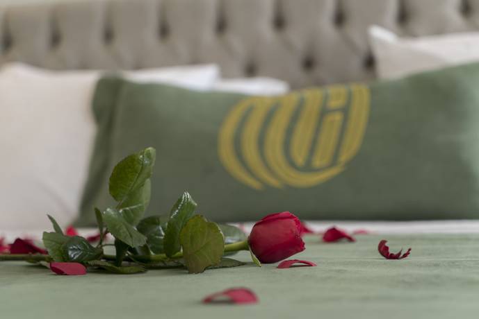 Imagen de la habitación del Mirart Hotel Boutique and SPA Yalova. Foto 10