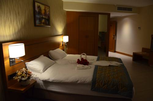 Imagen de la habitación del Mirel Hotel. Foto 1