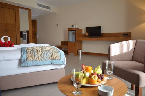 Imagen de la habitación del Mirel Hotel. Foto 6