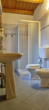 Imagen general del Mirtillo Alpino. Foto 5