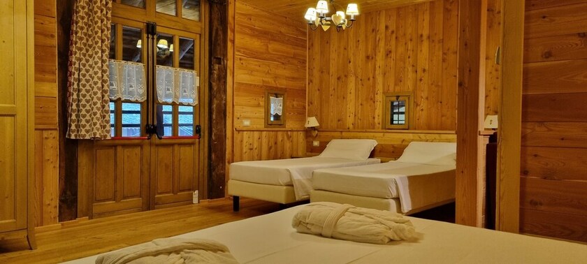 Imagen general del Mirtillo Alpino. Foto 11