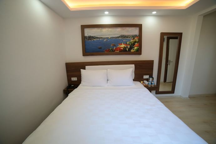 Imagen de la habitación del Mitani Suites. Foto 9