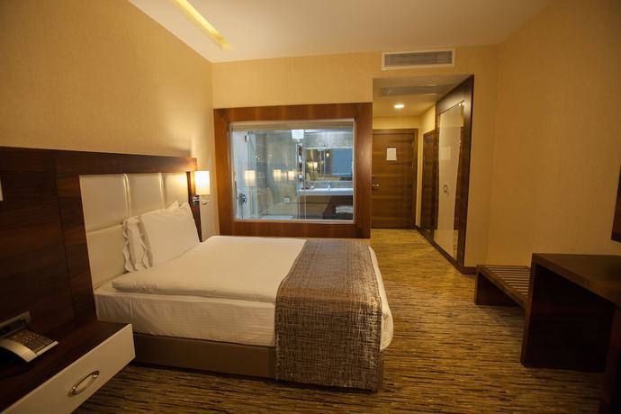Imagen de la habitación del Mitannia Regency Hotel. Foto 2
