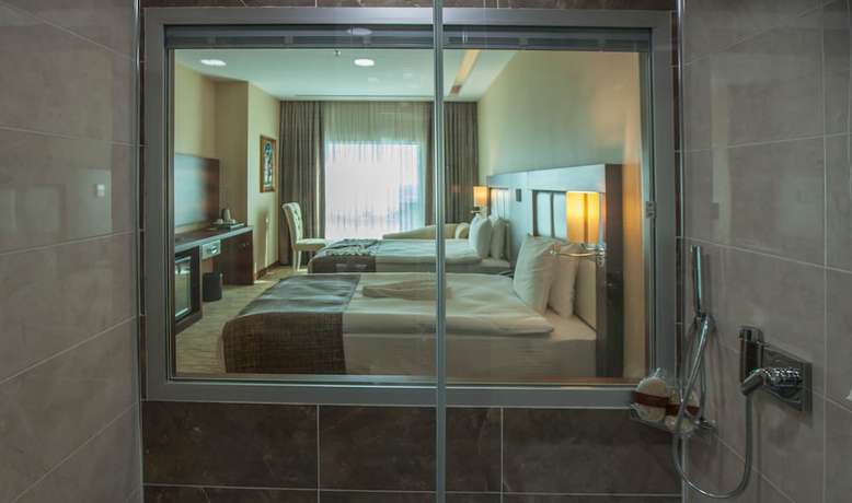 Imagen de la habitación del Mitannia Regency Hotel. Foto 7