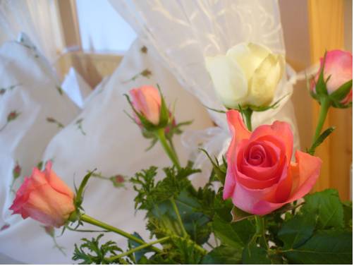 Imagen de la habitación del Mitschighof - Heidis-welt Pension, Mitschig. Foto 15