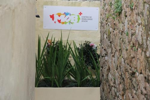 Imagen general del Mob+ Guesthouse. Foto 2