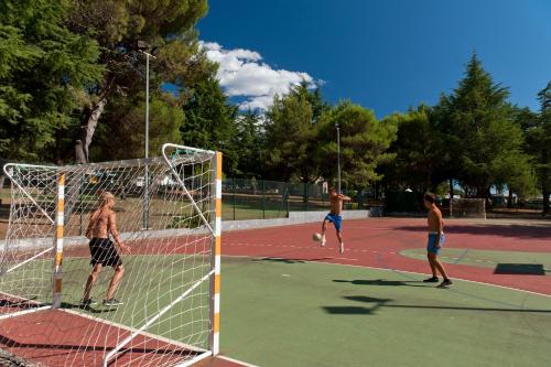 Imagen general del Mobile Homes Koversada Naturist. Foto 3