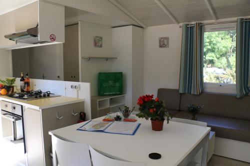 Imagen general del Mobile Homes by KelAir at Camping Les Genets. Foto 15
