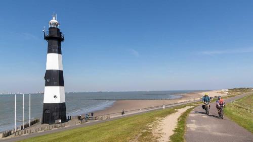 Imagen general del Molecaten Park Waterdunen. Foto 6