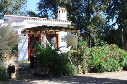 Imagen general del Molino El Mastral. Foto 2